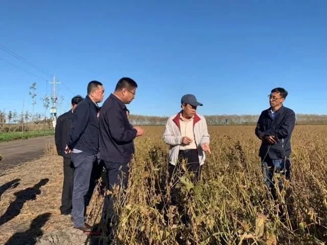 未來農業價值可期！阿里、京東、華為，碧桂園紛紛發力數字農業