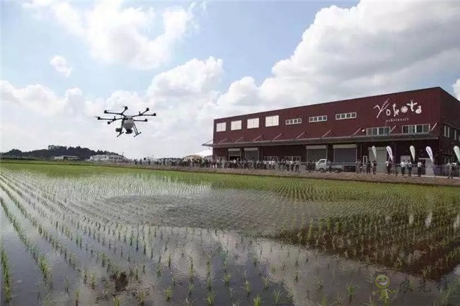 帶你回顧2019 DJI 大疆農業