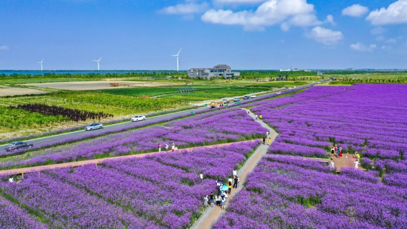 【模式研究】國家現代農業產業園的10種典型模式