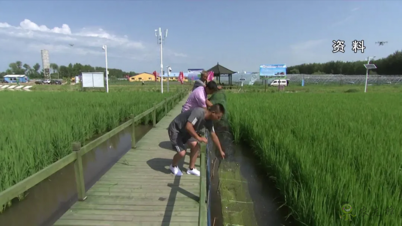 【模式研究】我國國家現代農業產業園的10種典型模式