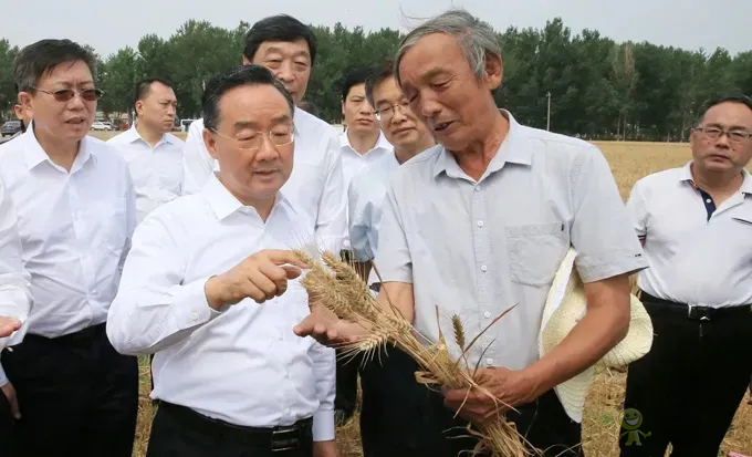 唐仁健部長：今年夏糧再獲豐收！多地機收損耗降低1個百分點以上！