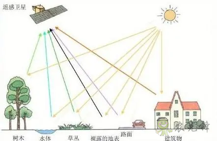 中國遙感衛星再添新成員 看TA在太空如何對農作物“稱斤計兩”？