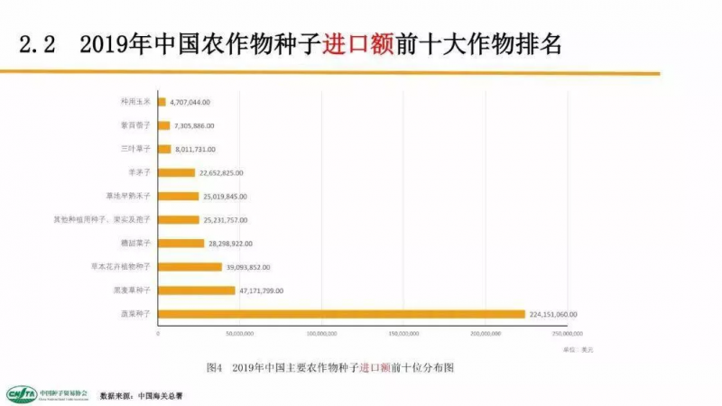 中國每年進口7萬噸“洋種子”：14億人的飯碗，能端穩嗎？