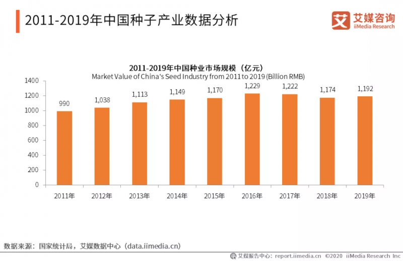 中國每年進口7萬噸“洋種子”：14億人的飯碗，能端穩嗎？