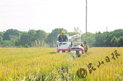 農機助力我市稻米全程不落地