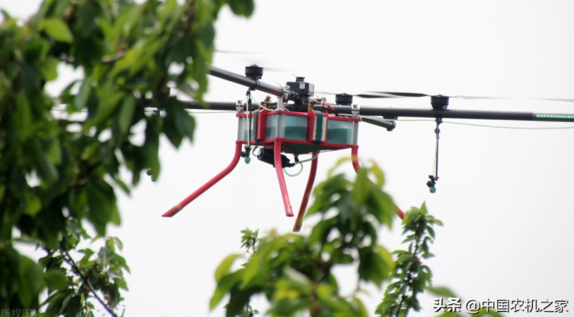 無人飛機在果園植保中的技術路線越來越成熟