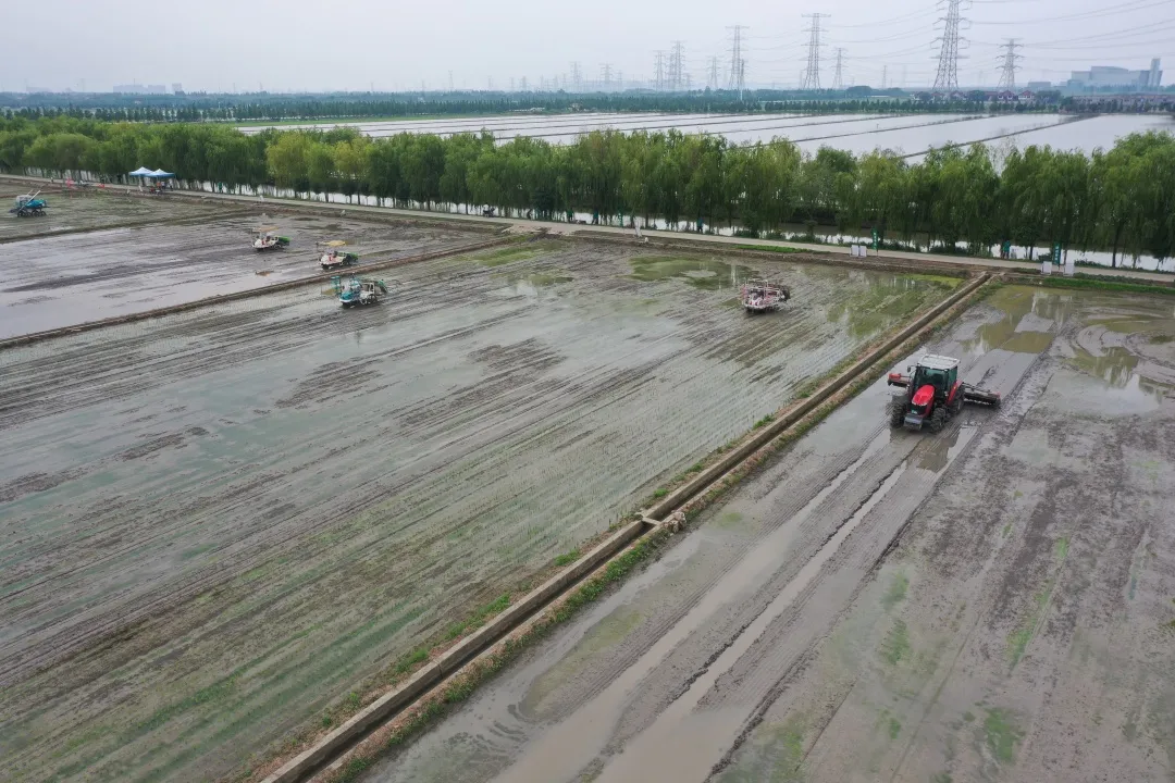 水稻無人農場未來將走向何方？羅錫文院士團隊來滬指導無人農場建設