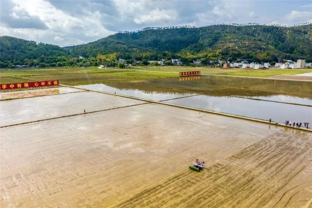 首次無人駕駛水直播機播種“太空稻”！羅錫文院士：屬全國首次！