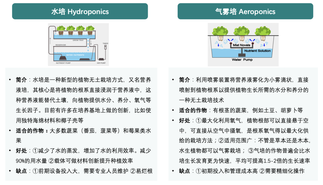 垂直農業，一個可持續的未來？