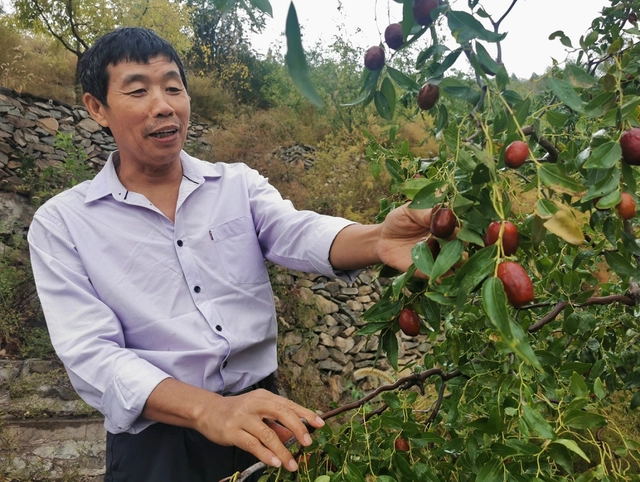 75項農業科技成果落地京郊