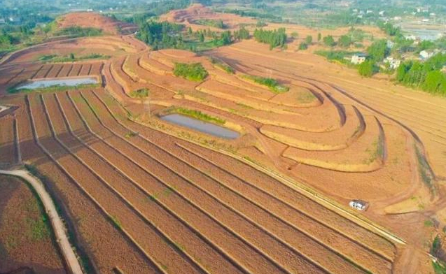 重慶在全國率先實施丘陵山區高標準農田改造提升示范工程